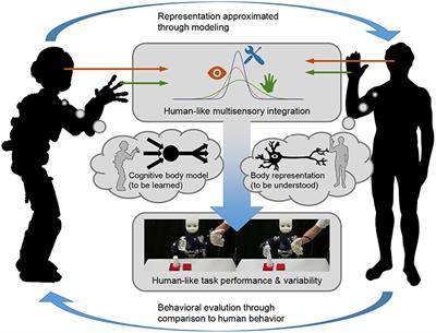 How Cognitive Models of Human Body Experience Might Push Robotics